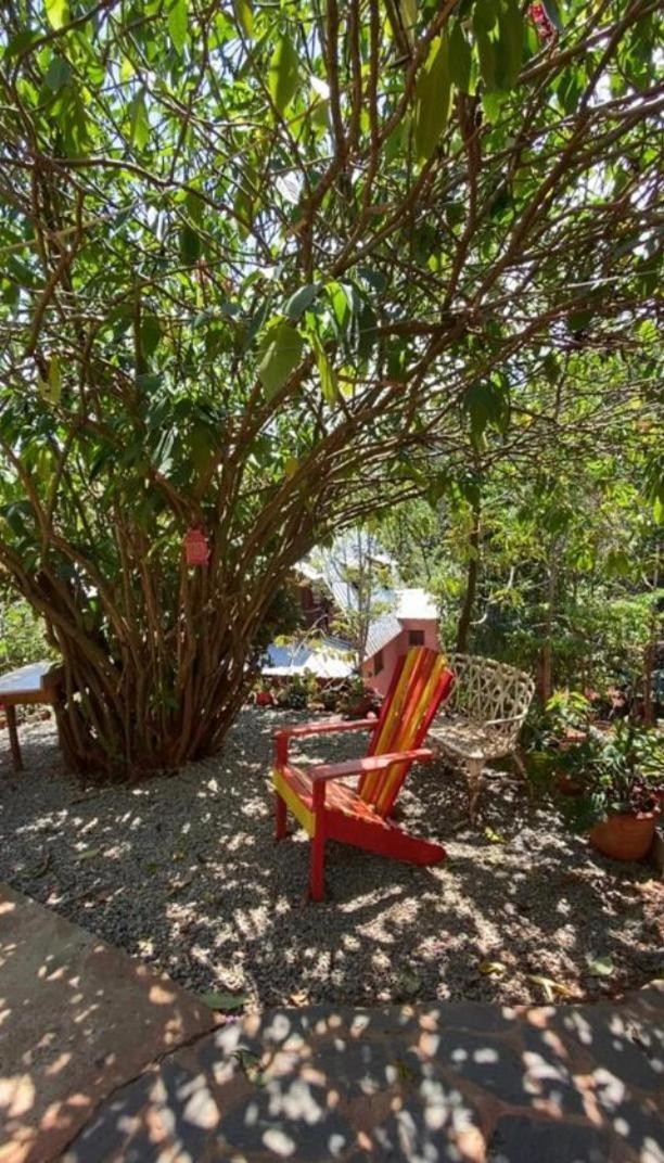 El Campo En Jarabacoa Villa ภายนอก รูปภาพ