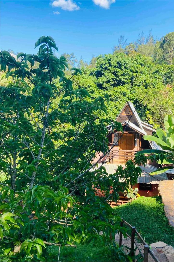 El Campo En Jarabacoa Villa ภายนอก รูปภาพ
